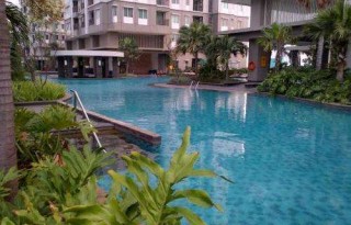 Disewakan (Rent) Apartemen Thamrin Residence Fully Furnished 1BR PR569